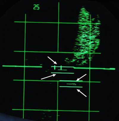 Radar with friendly contacts
